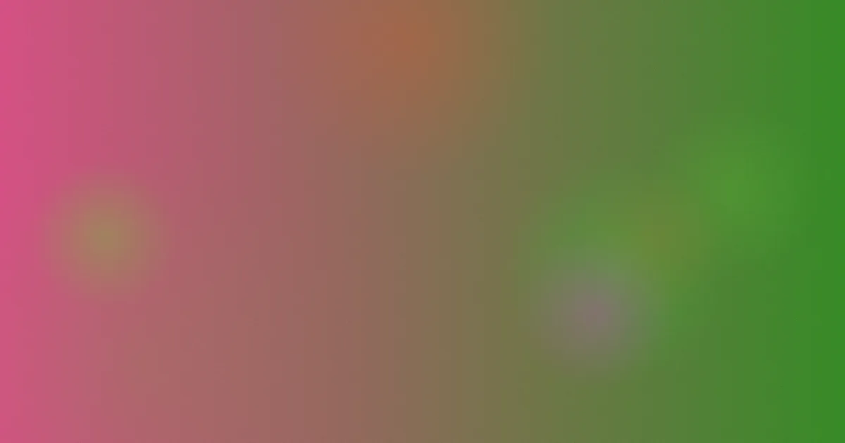 韩国电影老师避坑指南